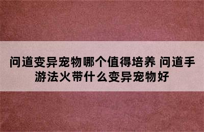 问道变异宠物哪个值得培养 问道手游法火带什么变异宠物好